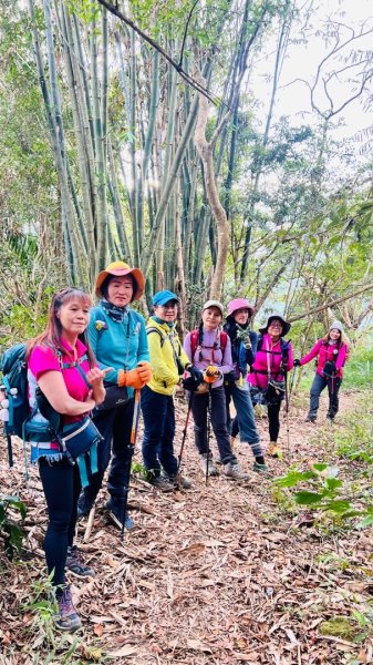 走大橫屏山九份二山(小百岳#45、47)賞梅去2695077
