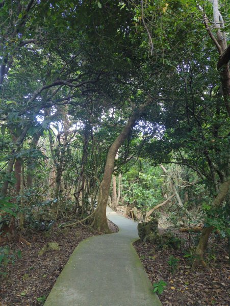 2024.06.09－墾丁國家公園2523856