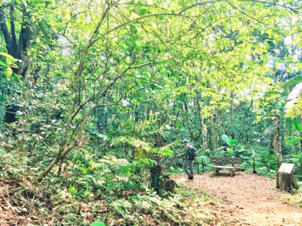 瓏美麗一週一步道（馬那邦山）558310