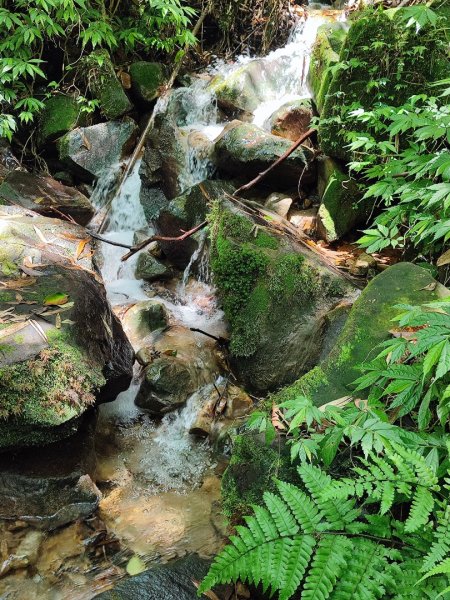 淡蘭北2+1逆走二刷2772773