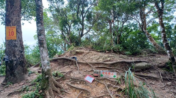 【苗栗南庄】向天湖山光天高山小O繞2933172
