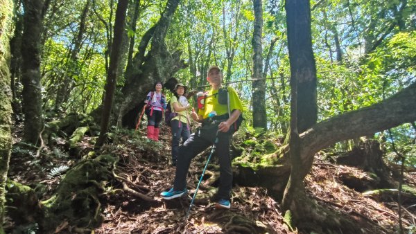 大混李棟山2816356