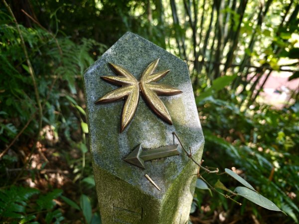 [淡蘭古道] 2026_0614 南路第二段_倒照湖山步道3096919