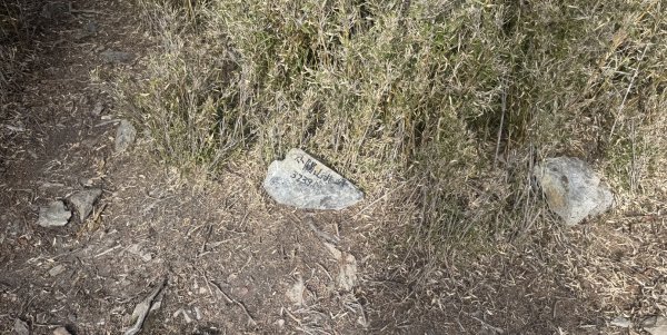 《小關山》《小關山北峰》《海諾南山》3004503