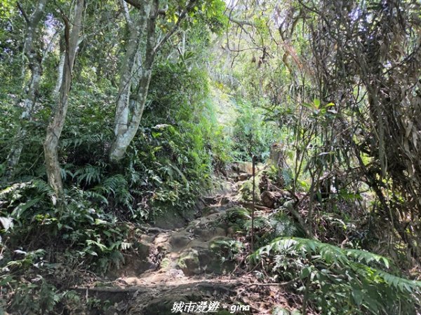 【桃園大溪】溪洲山步道(福山巖登山步道)3057148