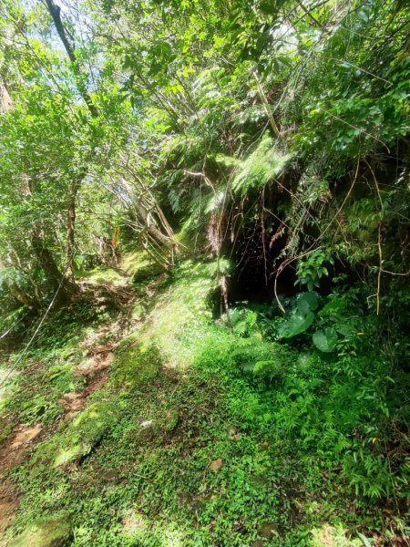 微笑山線五分山系菁桐-平溪-望古2881220