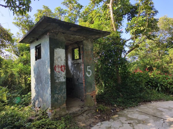 [百山百鳥尋旅-14/15] 2025_0929 劍潭山親山步道2900906