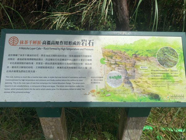 台灣山毛櫸國家步道1060441