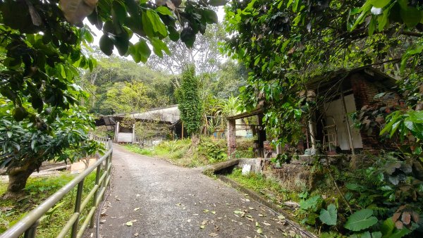 新北深坑，新翠谷登山步道3029704