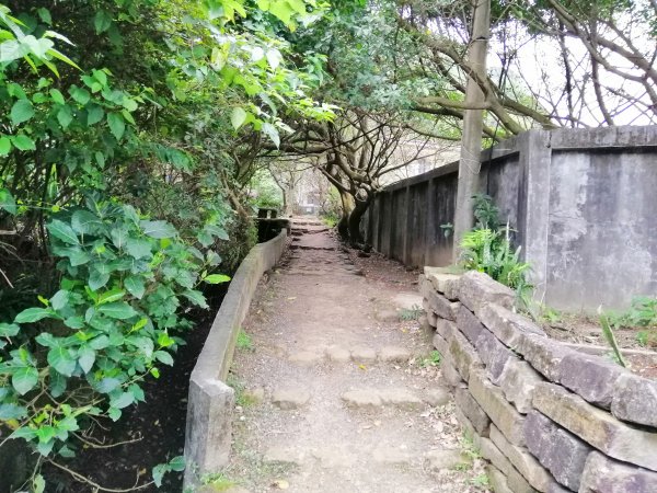 盡攬山海景迷人景緻。南子吝登山步道754307