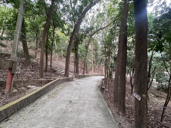 彰化-桃源里森林步道、八卦山2708802