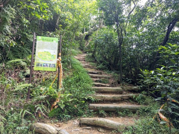 黎和生態公園→富陽自然生態公園→中埔山/東峰→福州山→富陽自然生態公園1438411