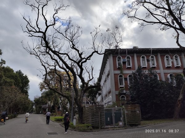 4-1 國立臺灣大學校園巡禮2691866