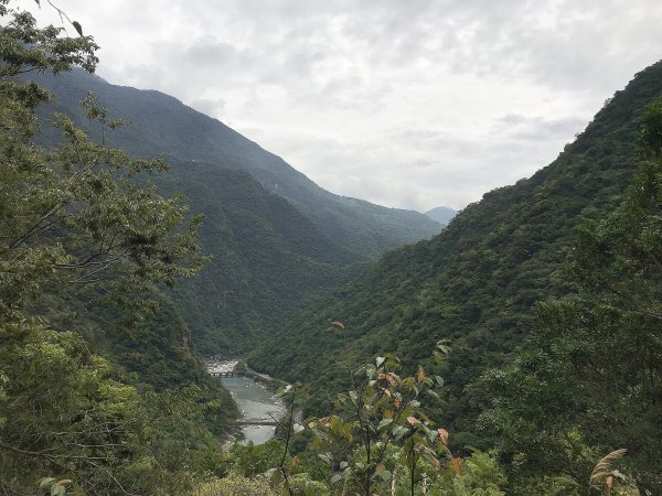 布洛灣&環流丘步道&山月吊橋1445043