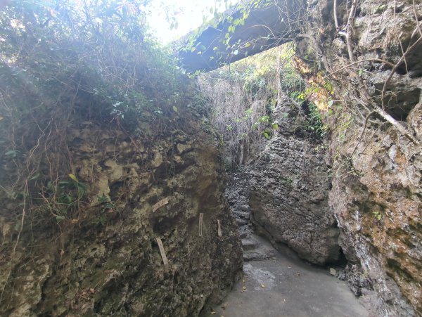 2025.03.24－大崗山2746348