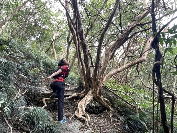 小百岳｜屏東獅子鄉女仍山1606845