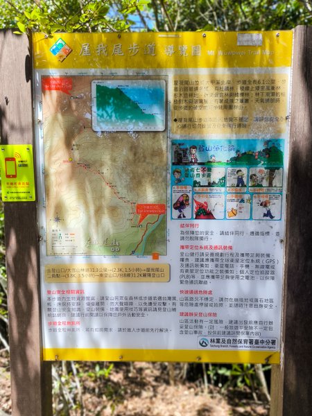 2026-06-20 屋我尾山+屋我尾林道3086852