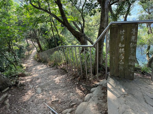 田中森林公園登山步道1889738