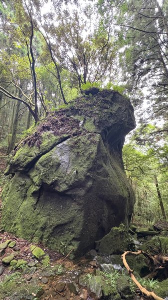 石猴封面