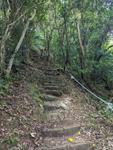 天上山：朝山步道、桐花公園、天上山、賞螢步道1737634