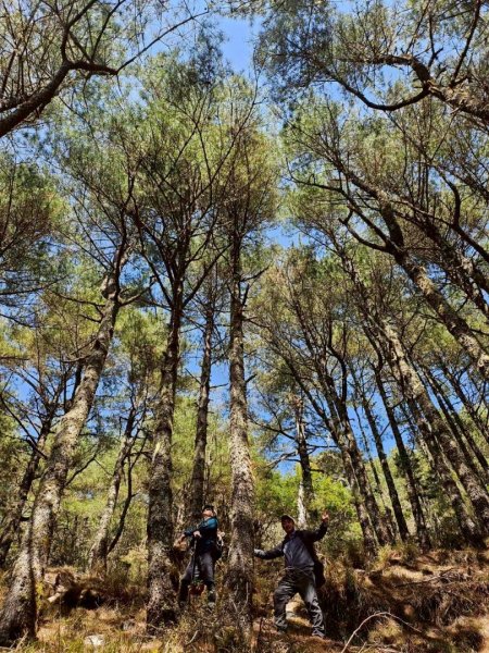 20260320四個毆鷄桑🦸‍♀️南橫溪頭山O繞關山嶺山3022696