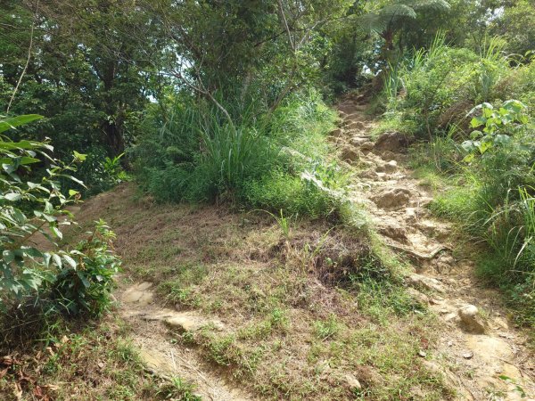 微笑山線之烘爐地任務2836467