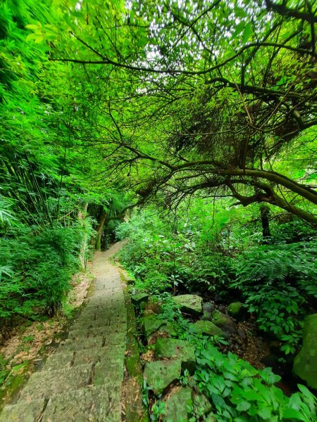 20230722 頂山石梯嶺縱走坪頂古圳，聖人瀑布2227230