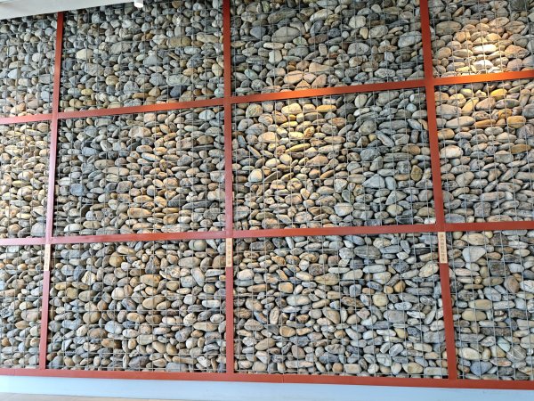 [霄裡好風光，運動樂悠遊！-2/10] 2025_0608 永安海螺文化館2808077