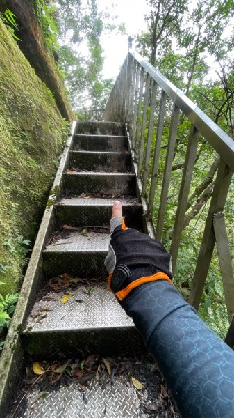 微笑山⛰️線-大棟-二格山-五分山-天上山-鳶山💎12條步道完成💙2834171