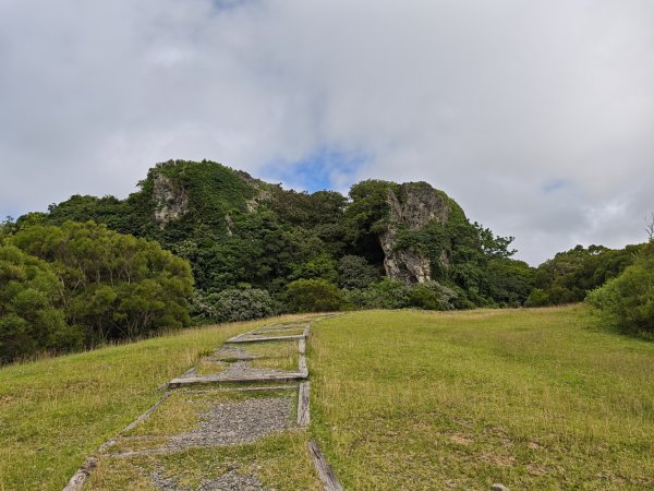 [百山百鳥尋旅-02/15] 2025_0809 社頂自然公園步道2857037