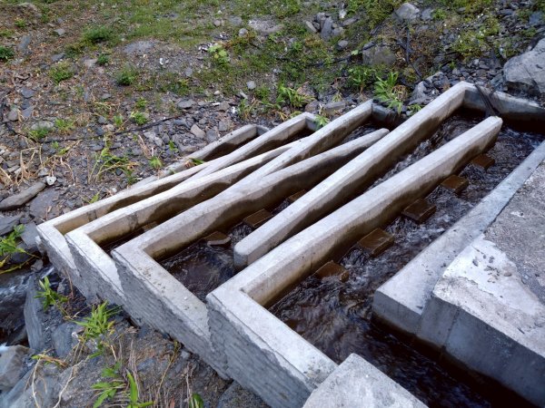 20250420古魯古道-大元山-大元國小2767398