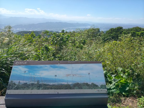 微笑山線：【大棟山系】百年大溶樹的2937029