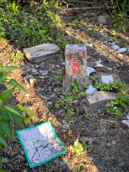 2025-02-16 巴蜈縱走2714299