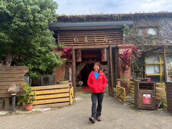 苗栗出磺坑古道、銅纙坑菊2951556