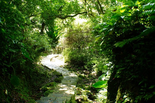 新北 平溪 頂子寮山、五分山3043967