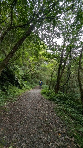 113.06.22坪溪古道-石坑山之旅2533777