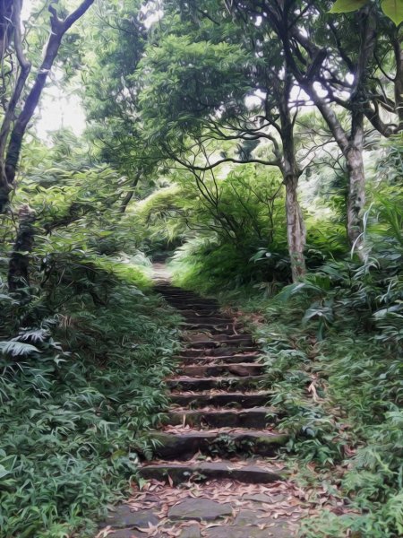 端午登高順陽好節氣 炎炎夏日。登高看雲去641395