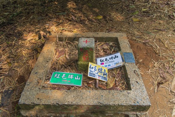 [嘉義]蘭潭水庫、紅毛埤山2757636