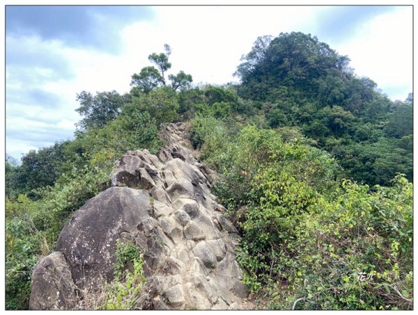 旗靈縱走(旗尾山、福美山、金字面山、人頭山、靈山)2996458