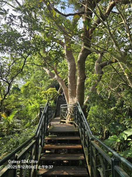 2025-12-06微笑山線：【二格山系】和美山螢火蟲段2956810