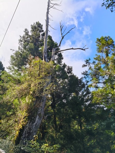 見晴懷古步道2940569