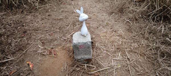 2025/12/21_口山古道O型2968558