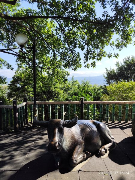 【臺北大縱走 5】碧山巖→忠勇山越嶺步道→金龍產業道路→圓明寺步道→鄭成功廟→潛園→格物台→劍潭古寺2958966