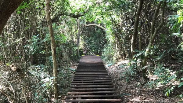 柴山步道1148871