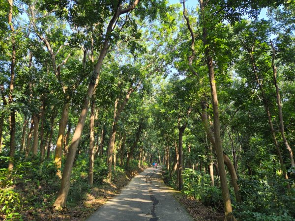 川文山森林保育農場（小陽明山）+大隆田生態園區2644857