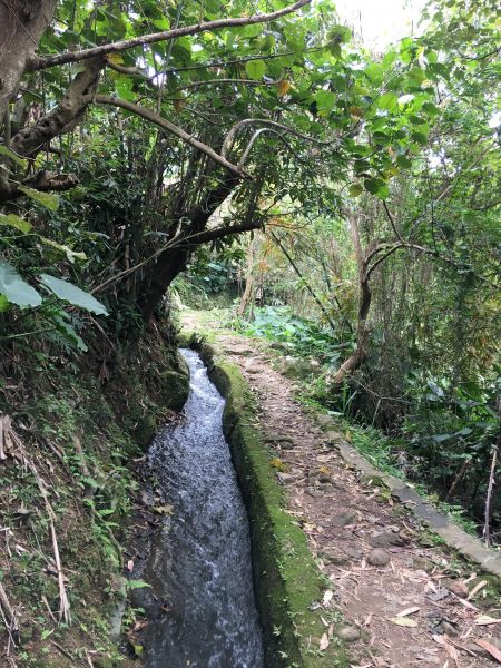 狗殷勤古道封面