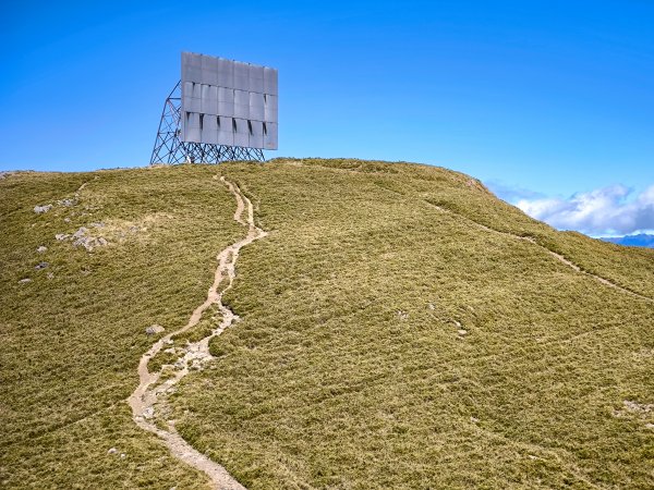 2025-11-07 合歡北峰、小溪營地、鷹石尖、北峰名樹2934337