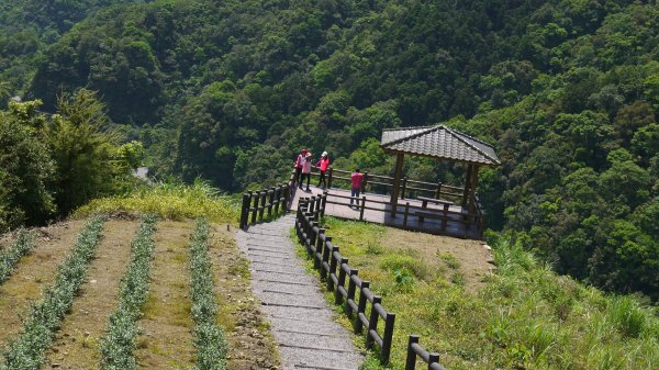 獅公髻尾山登山健行趣（郊山）1577796