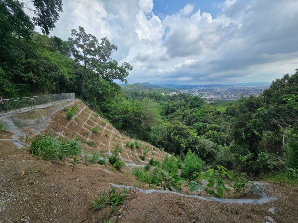 台中大坑頭嵙山（大冠鷲／木蜂／五色鳥／血藤花／鳳凰花）2796608