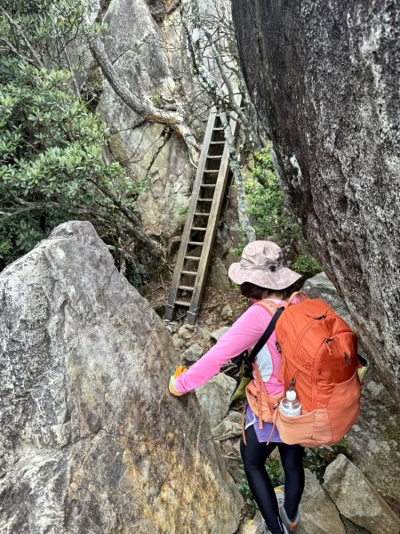 鳶嘴山+稍來神木 202508302873859